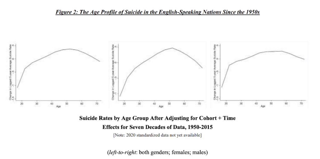 a graph of suicide rates