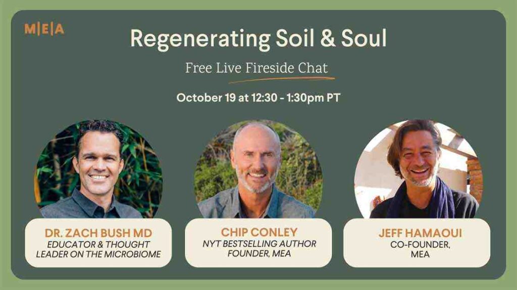 regenerating soil and soul